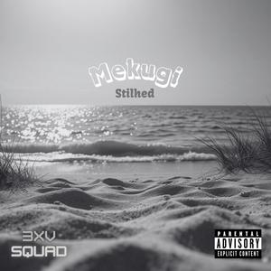 Stilhed (Explicit)