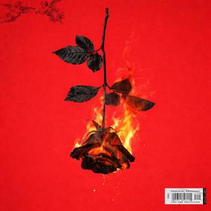 Fuego al corazon (feat. Duende Fl & Tony) (Explicit)