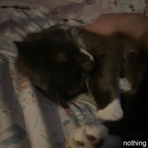 nothing (feat. left)