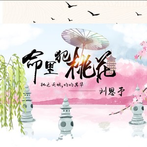 命里犯桃花 (DJheap九天版) - 刘羽晨封面