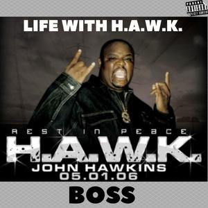 Life Without Hawk (Explicit)