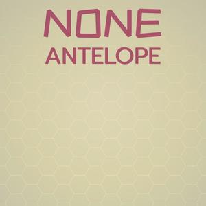 None Antelope