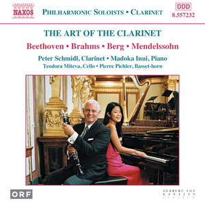 Concert Piece in D Minor, Op. 114, MWV Q24 - III. Allegro grazioso