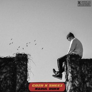 Raoul Duke (feat. Sheez) (Explicit)
