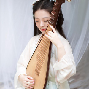 【琵琶】爱殇-乐落清音