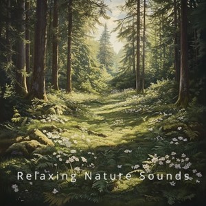 Forest Calm: Nature Sounds for Sleep
