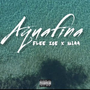 Aquafina (Explicit)