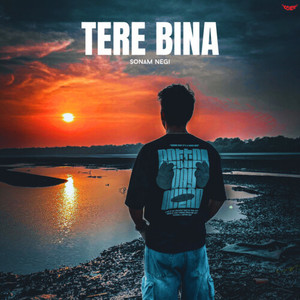 Tere Bina