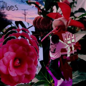 flores (Explicit)