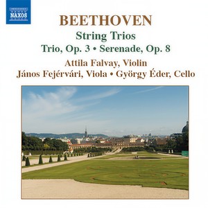 Serenade in D Major, Op. 8 - V. Allegretto alla polacca