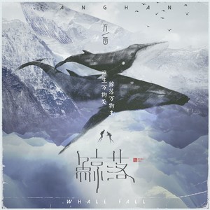 鲸落