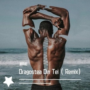 O-Zone-Dragostea Din Tei (郝向阳 / Dj Kbo remix)