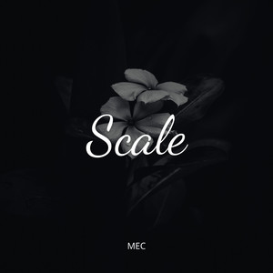 Scale (Speed Up)