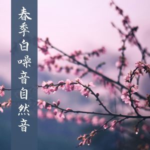 春季白噪音自然音: 放松大脑, 春季森林景色, 催眠纯音乐, 瑜伽冥想