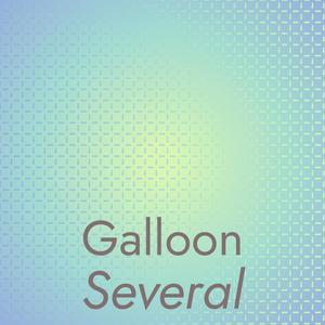 Galloon Several