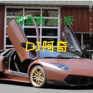 海草舞 (dj阿奇版)