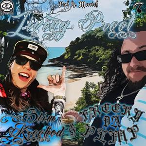 Living Proof (feat. Slim Krooked) (Explicit)