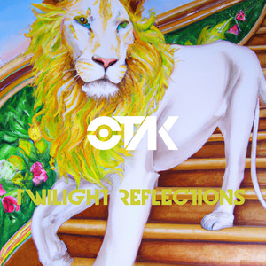 Twilight Reflections