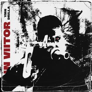 IN VIITOR (YMN Drilla) [Explicit]