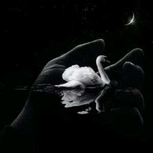 Am Falling (feat. Avee Music) (Explicit)