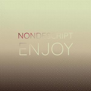 Nondescript Enjoy