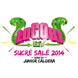 Sucré salé (Junior Caldera Remix 2014) - Single