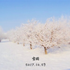 雪国