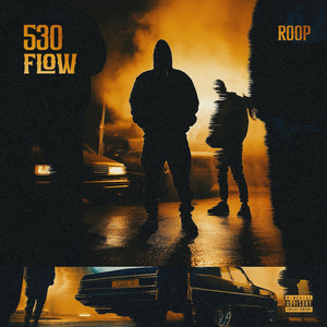530 Flow (Explicit)