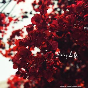 Giving Life (feat. Dr. Rick Boswell)