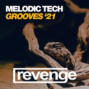 Melodic Tech Grooves '21