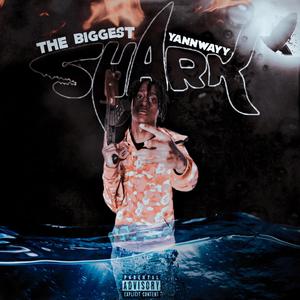 The Biggest Shark (Explicit)