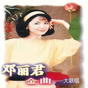 邓丽君金曲（下） (联唱)