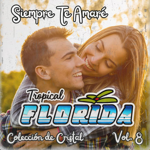 Siempre Te Amaré (Colección de Cristal Vol. 8)