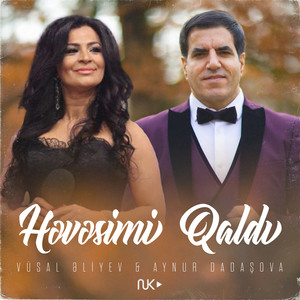 Həvəsmi Qaldı