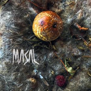 Concerning Being Brought Back To Life By Jesus