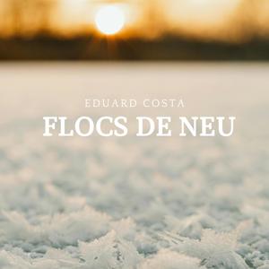 Flocs de neu