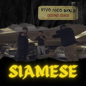 Siamese (feat. $tVO, Gxrld & Nico) [Explicit]