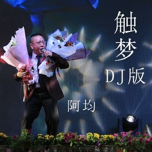 触梦 (DJ版)
