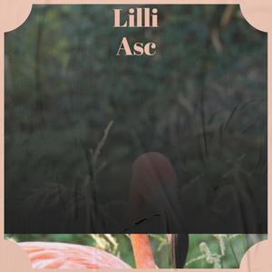 Lilli Asc