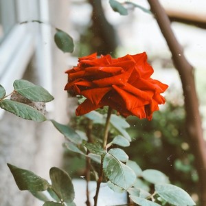 T002R300x300M000004SSSxp1EV3Qg_2.jpg?max_age=2592000
