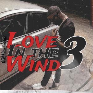 Love In The Wind 3 (Explicit)