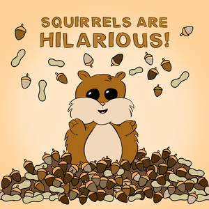 Squirrels Are Hilarious