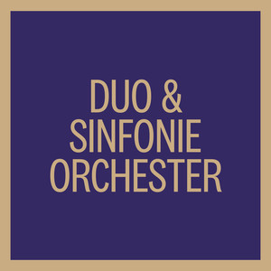 Duo & Sinfonieorchester