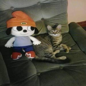 in dat mode (feat. Lungskull) (Explicit)