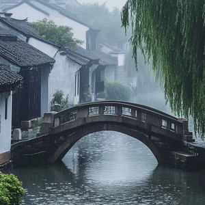 年轮 (泡泡摇DJ版)