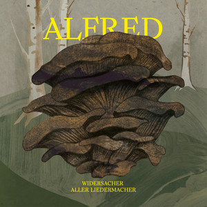 Alfred