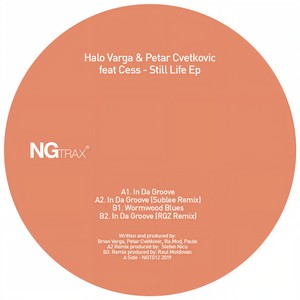 In Da Groove (RQZ Remix)