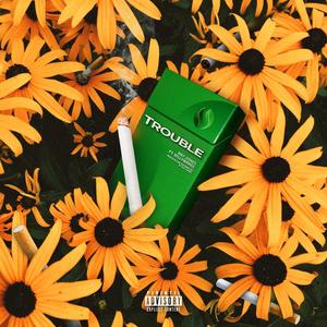 Trouble (feat. BillyMaree) (Explicit)