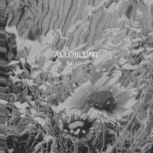 Meanwhile (ALLOBLUNT) (Explicit)