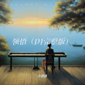 领悟 (DJ版)